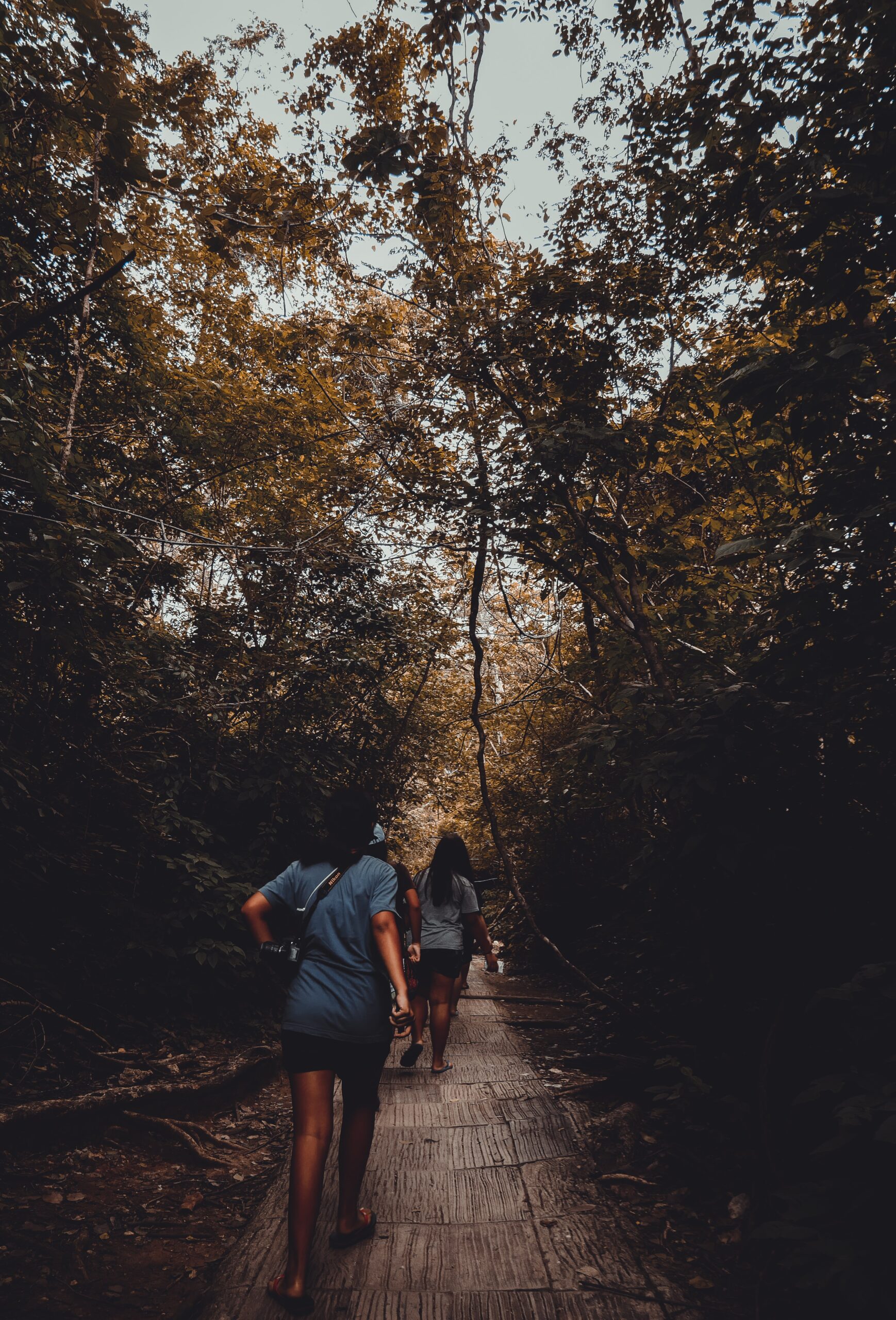 Read more about the article Adventures in Thailand